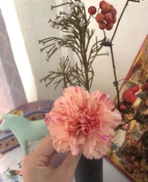 Yuka